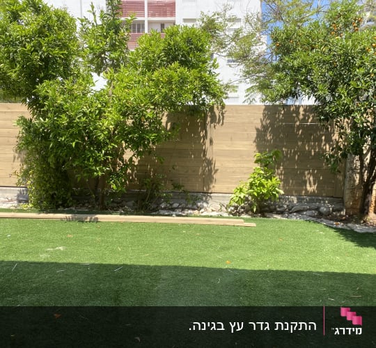 גדר עץ עם עצים ודשא סינתטי בגינה